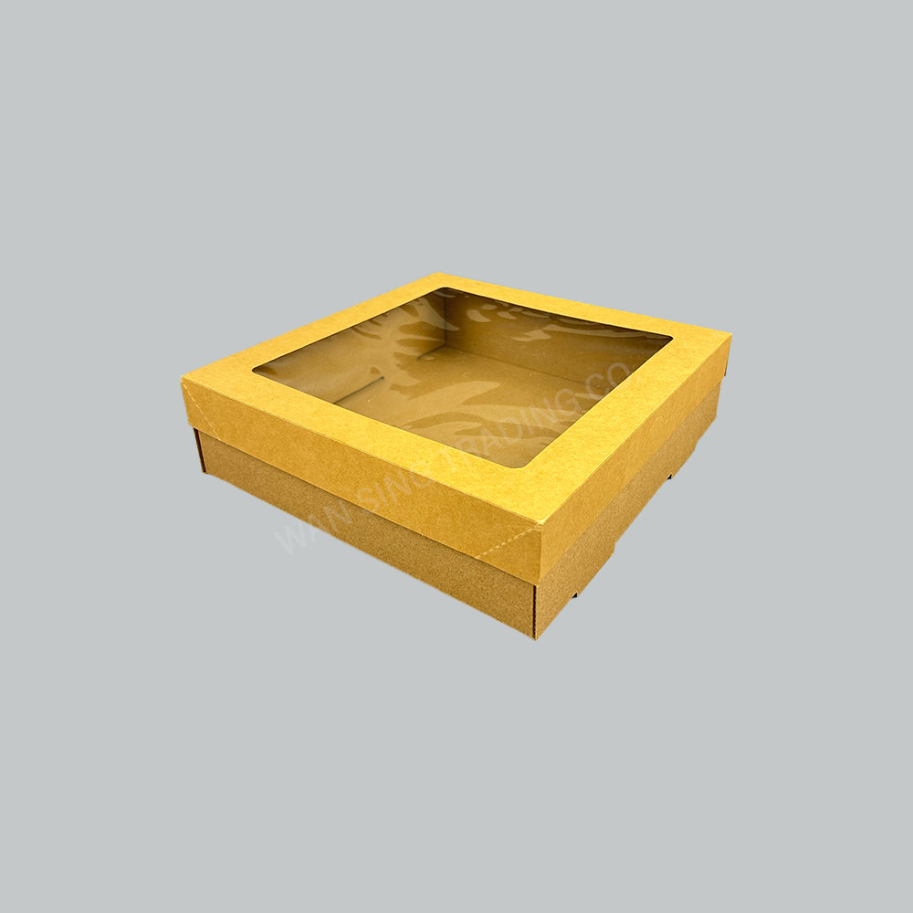BP BIOBOARD W/WINDOW LID SMALL-100'S/CTN