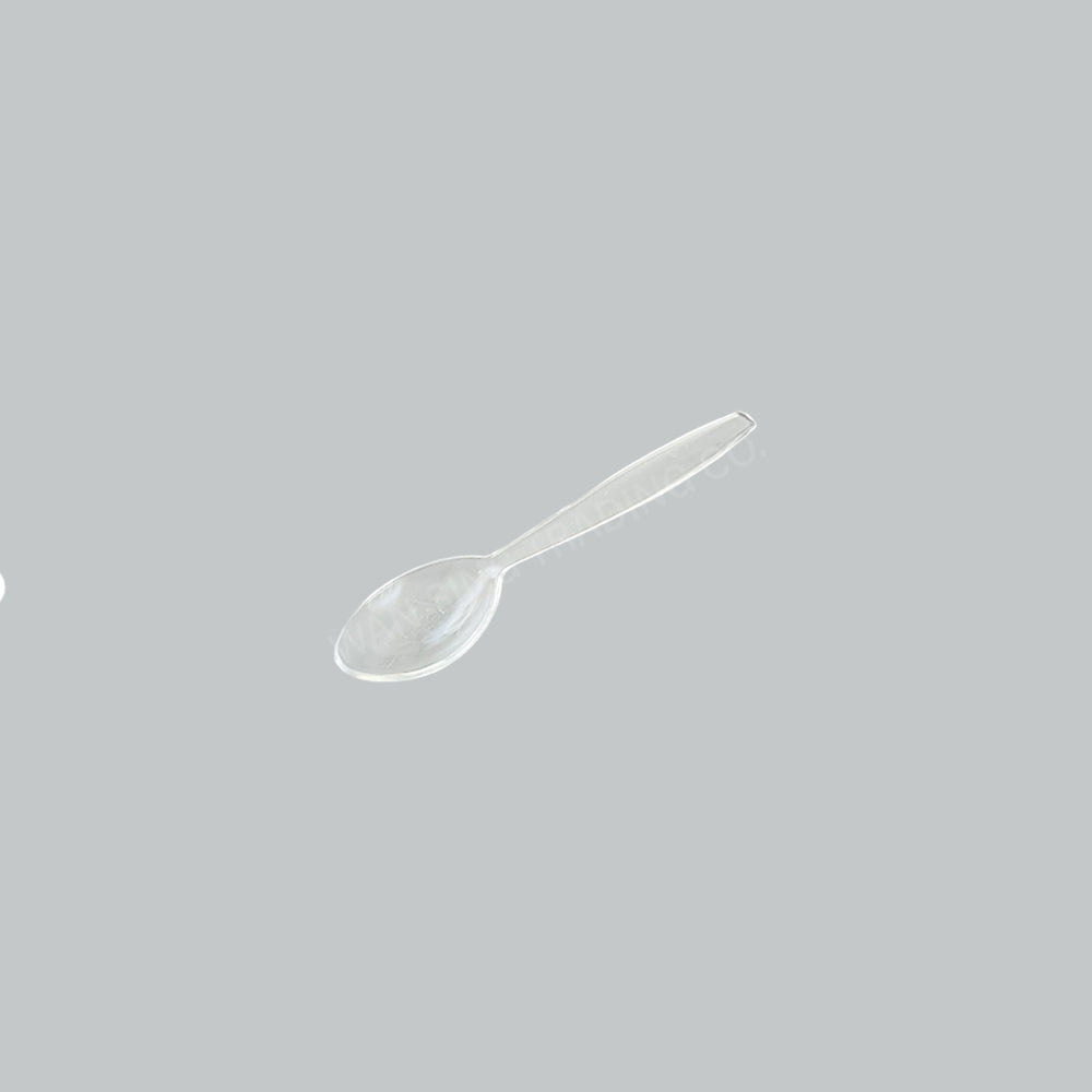 FX PLASTIC SPOON 4" TRANS 60'SX100PKT/CTN