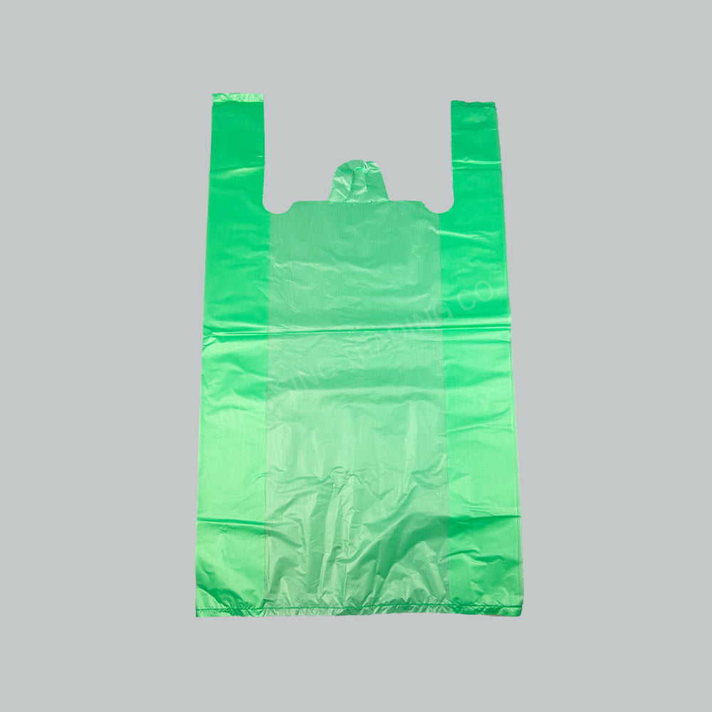 MY HD SINGLET BAG 20"X24" GRN 600GM/PKT