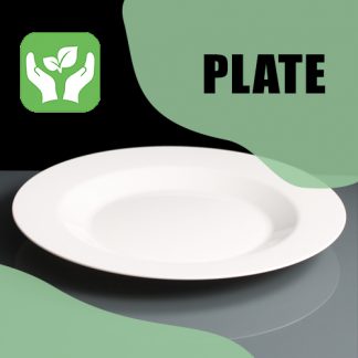 Biodegradable - Plate
