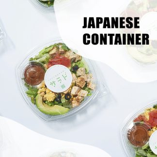 Plastic - Japanese Container